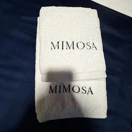 Maison Mimosa Avec Garage Privé Apartamento Dinant